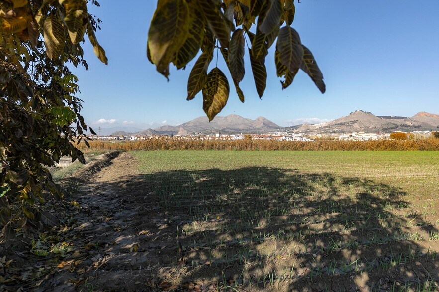 Camino del Jueves, Atarfe, Granada for sale - Building Photo - Image 2 of 28