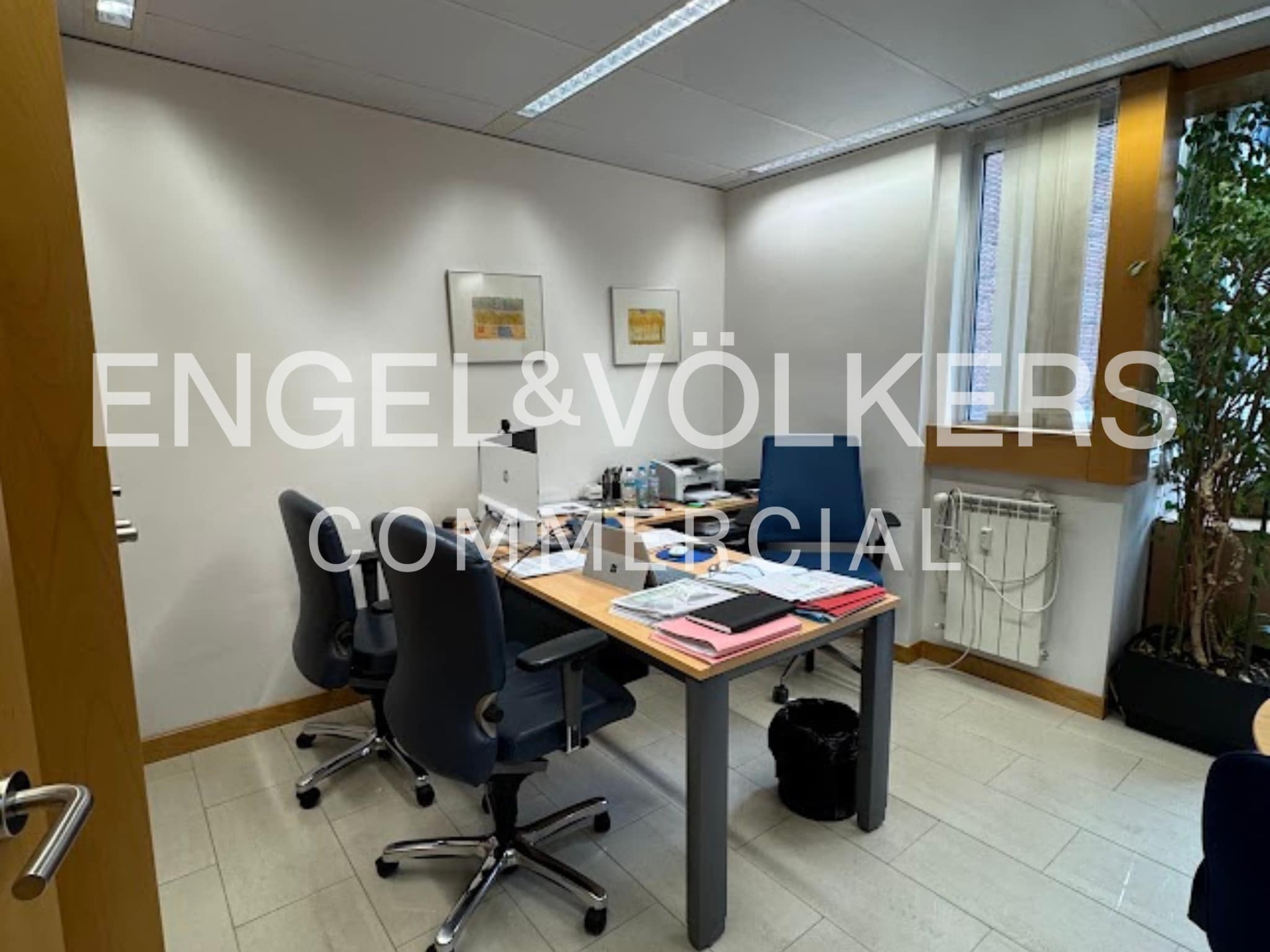 Office in Madrid, Madrid to rent Interior Photo- Image 1 of 22
