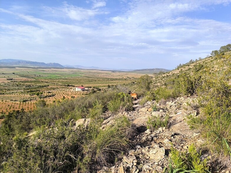 Land in Yecla, Murcia for sale - Aerial - Image 2 of 15