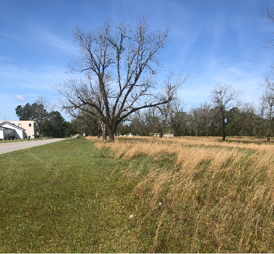 7573 Main St, Claxton, GA for sale - Primary Photo - Image 1 of 5