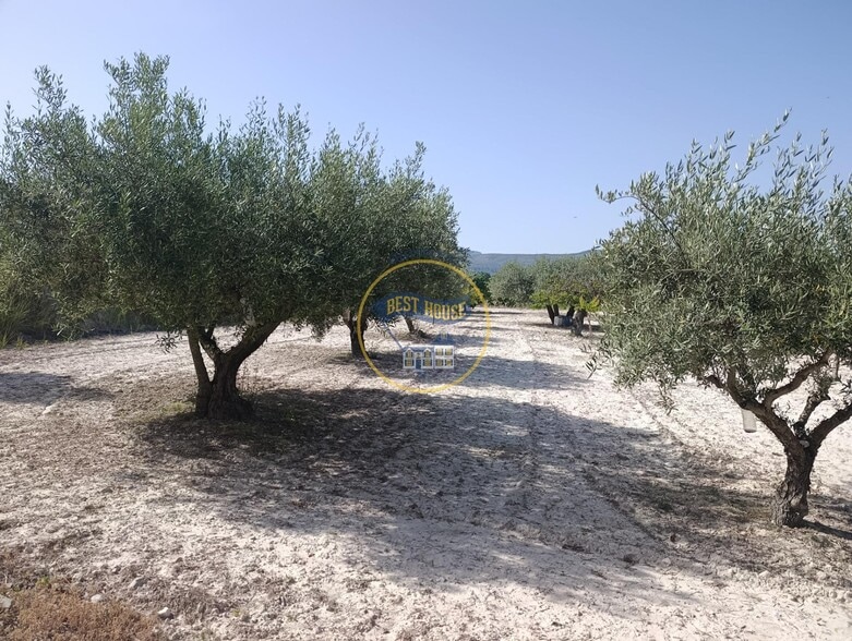 Land in Ontinyent, Valencia for sale - Building Photo - Image 3 of 12