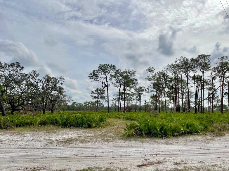 9855 Curtis Rd, Myakka City, FL for sale - Building Photo - Image 1 of 1