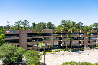 More details for 25211 Grogans Mill Rd, The Woodlands, TX - Office for Rent