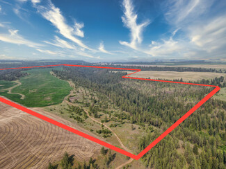 More details for 45XXX Devore Rd, Davenport, WA - Land for Sale