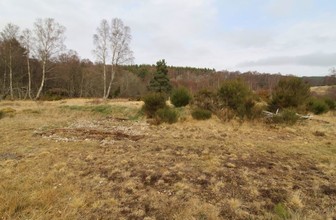 Drumuillie, Boat Of Garten for sale Primary Photo- Image 1 of 2