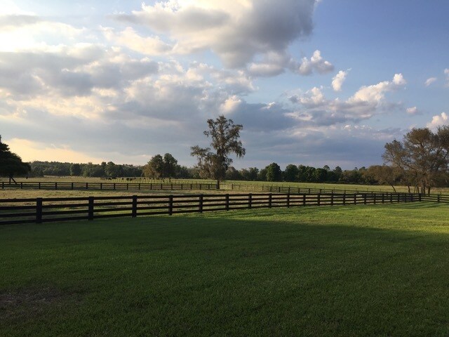 525 Shaw Lake Rd, Pierson, FL for sale Primary Photo- Image 1 of 1