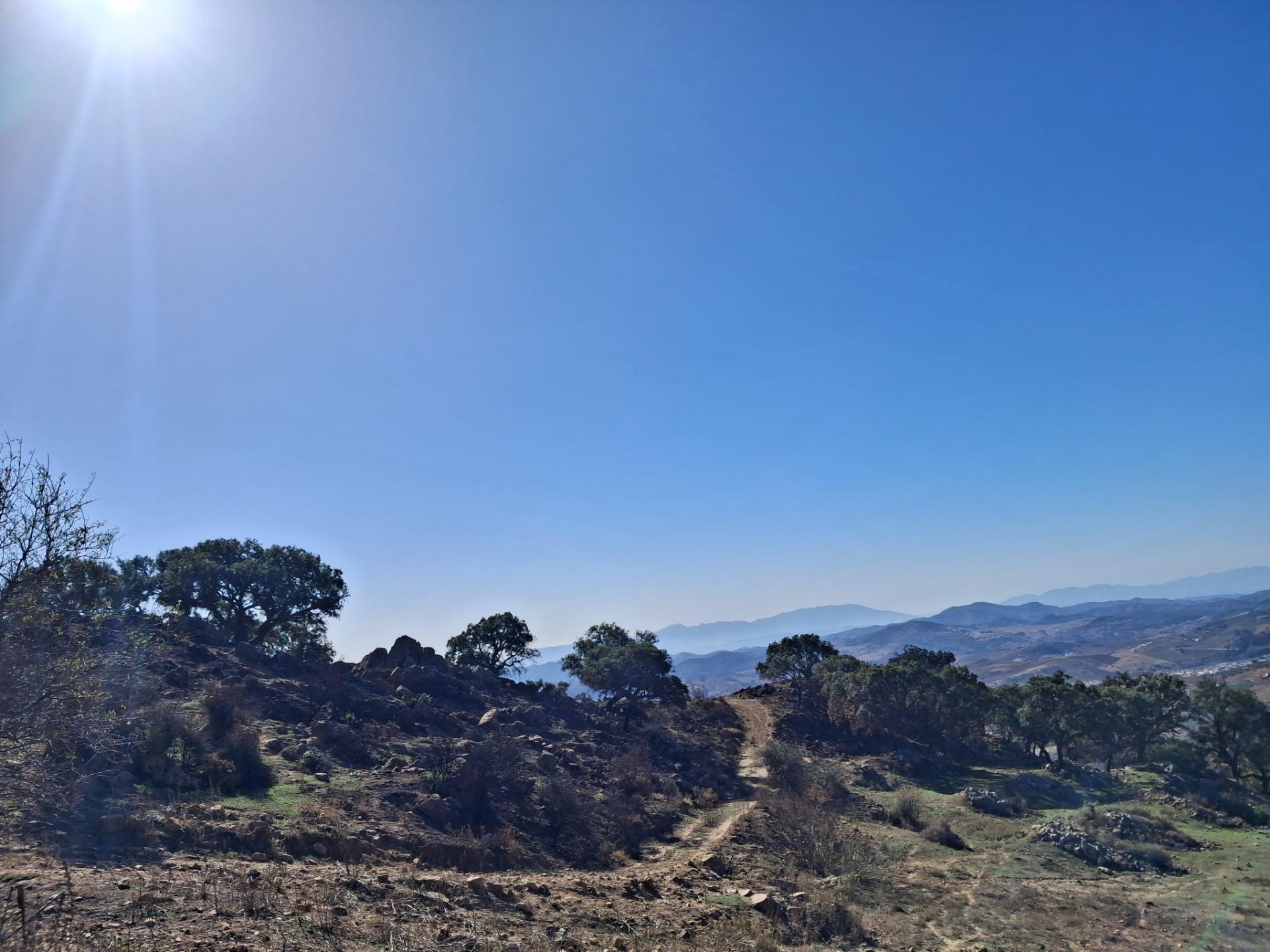 Land in Antequera, Málaga for sale Building Photo- Image 1 of 20
