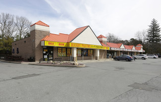 More details for 279 Smithtown Blvd, Nesconset, NY - Retail for Rent