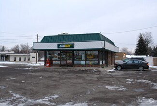 More details for 3631 Miller Rd, Flint, MI - Retail for Sale