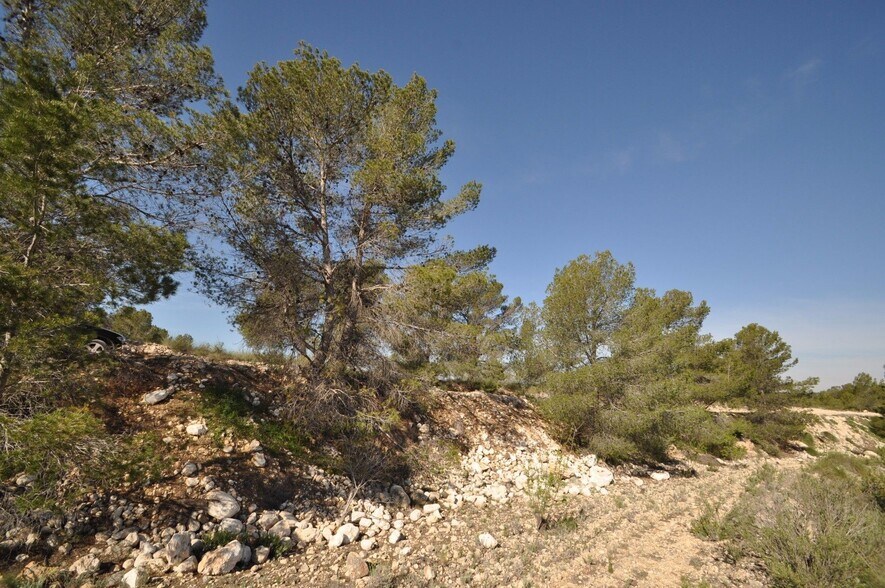 Land in Jumilla, Murcia for sale - Primary Photo - Image 1 of 9