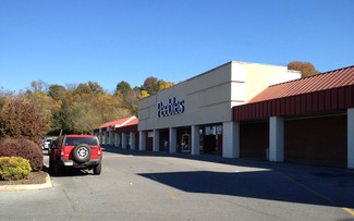 More details for 768 W Elk Ave, Elizabethton, TN - Retail for Rent