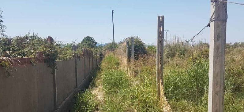 Poli Calle, 9, Sueca, Valencia for sale - Building Photo - Image 2 of 4