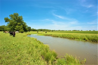 4262 Tx-11, Wolfe City, TX for sale Other- Image 1 of 1