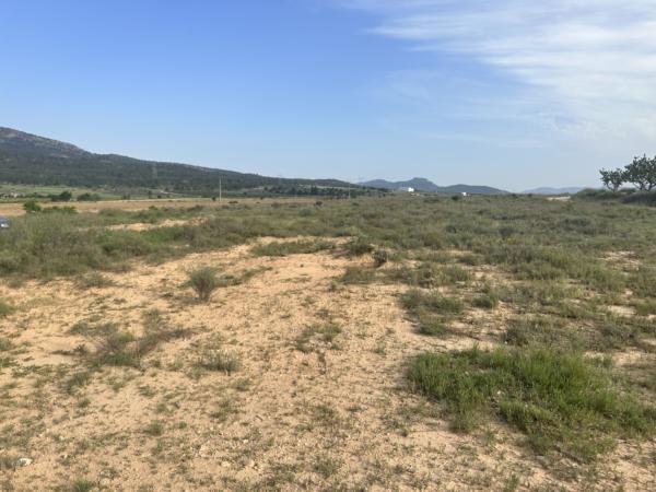 Land in Salinas, Alicante for sale Site Plan- Image 1 of 7