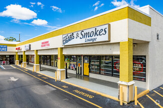 More details for 1217-1239 Kass Cir, Spring Hill, FL - Retail for Rent