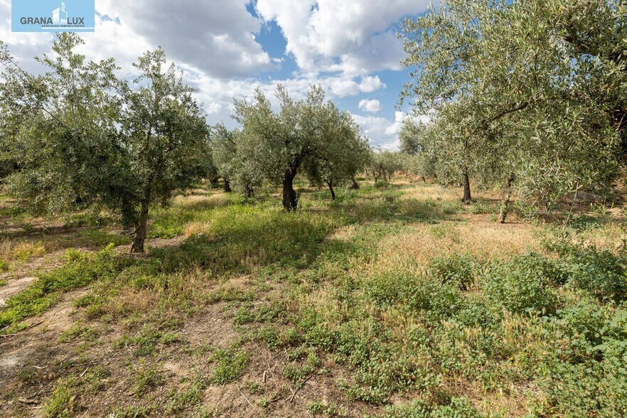 Pol, 1, Granada, Granada for sale - Building Photo - Image 3 of 21