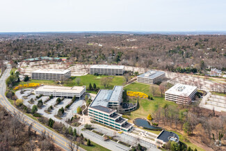 Radnor Corporate Center - Commercial Property