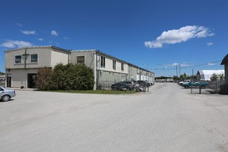 More details for 999 Moodie Dr, Ottawa, ON - Industrial for Rent