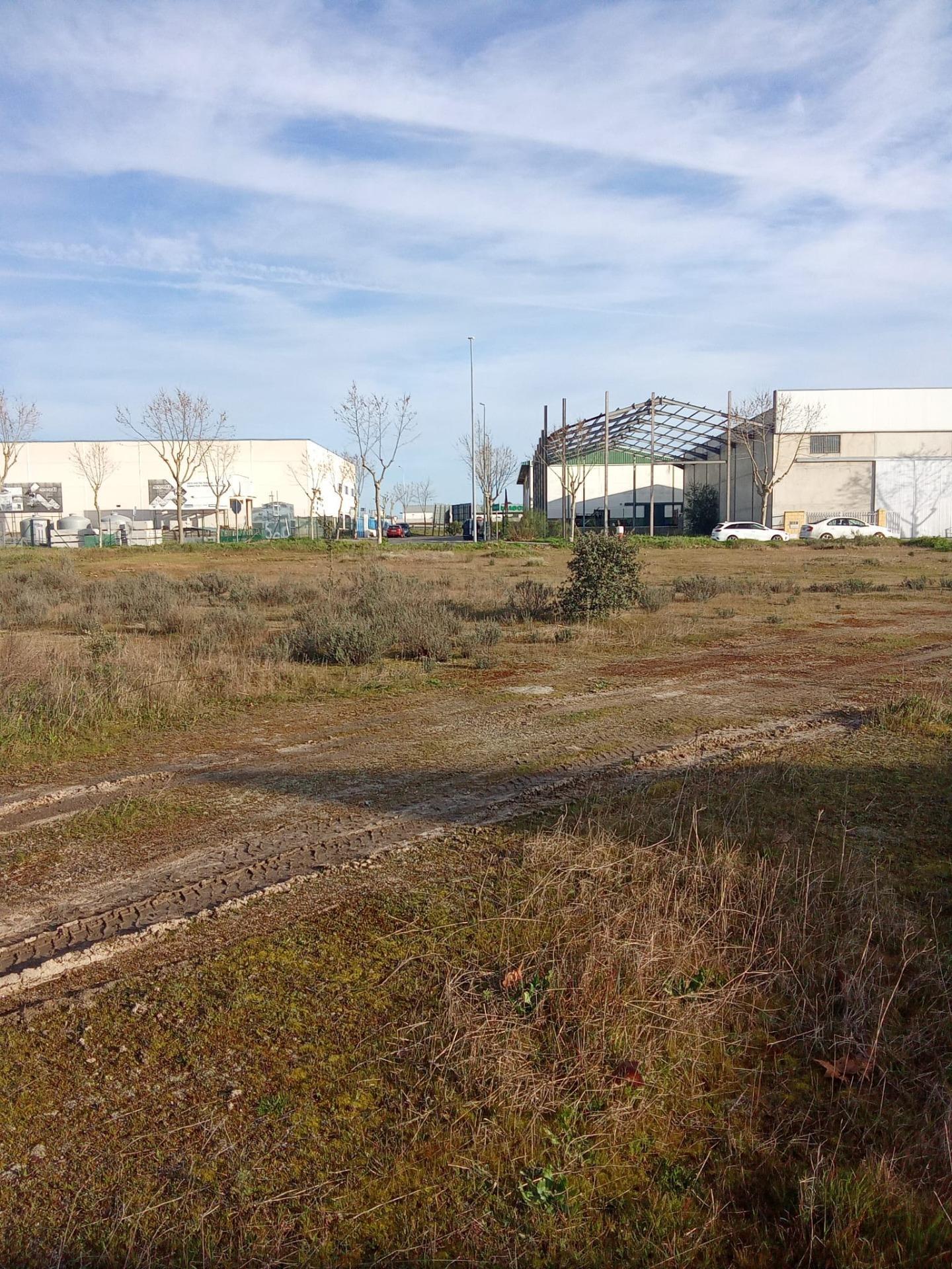 Land in Malpartida de Cáceres, Cáceres for sale Primary Photo- Image 1 of 7