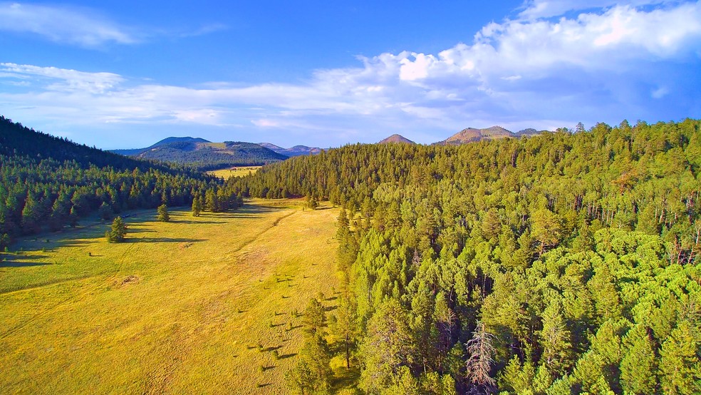 2 Hart Prairie Rd, Flagstaff, AZ for sale - Other - Image 1 of 1