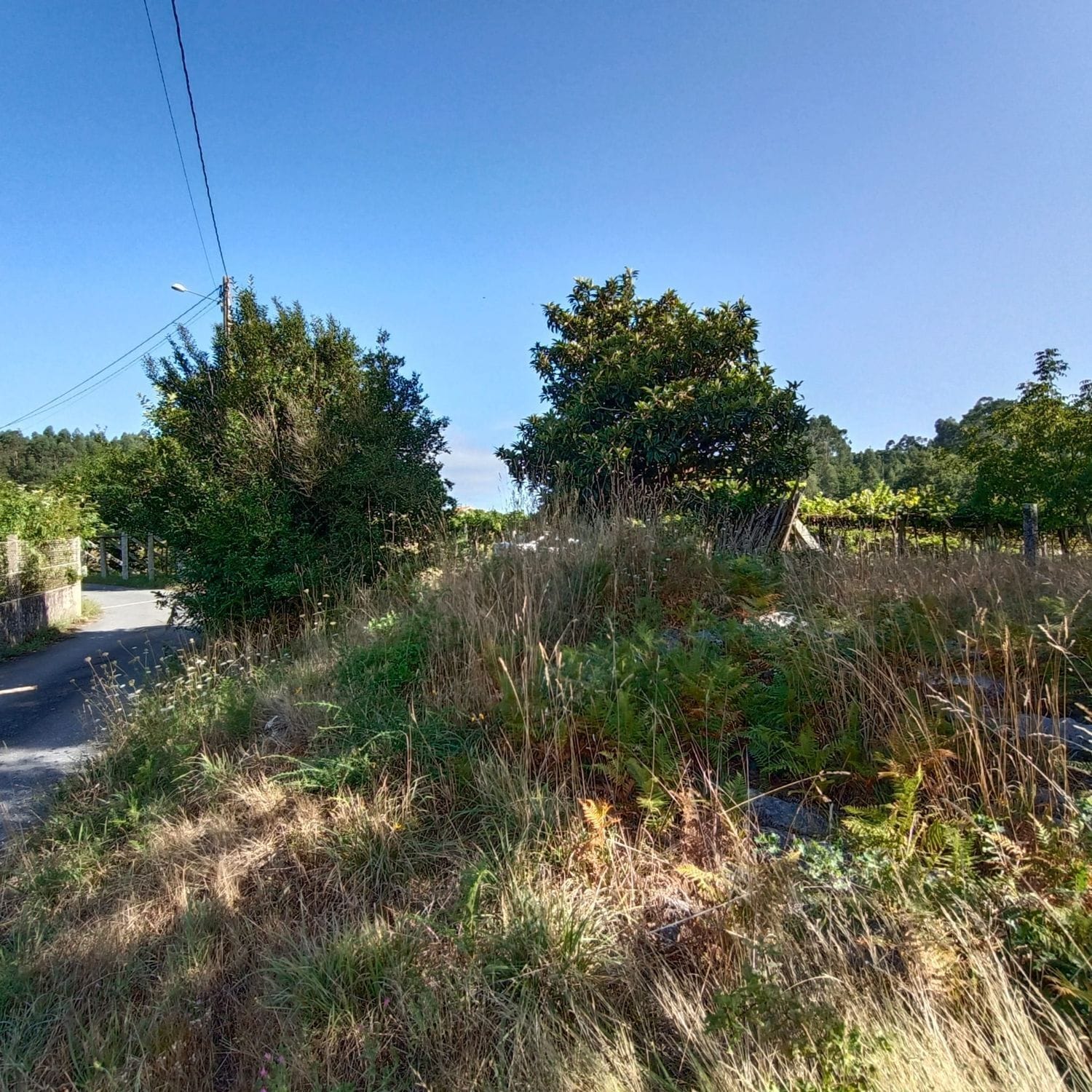 Lugar Lourido, 20, Barro, Pontevedra for sale Building Photo- Image 1 of 24