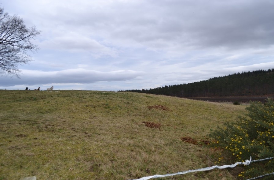 Lochs Farm, Garmouth for sale - Primary Photo - Image 1 of 1