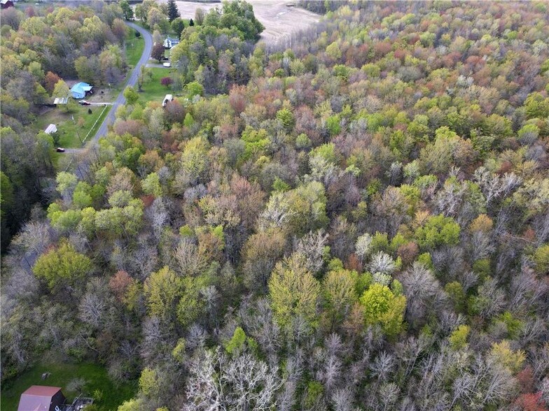 12666 Upton Rd, Red Creek, NY for sale - Aerial - Image 3 of 6