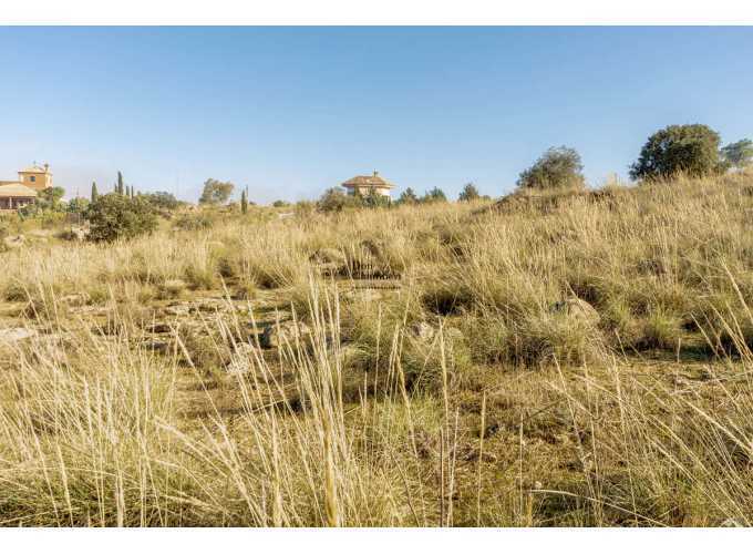 Land in Toledo, Toledo for sale - Building Photo - Image 3 of 28