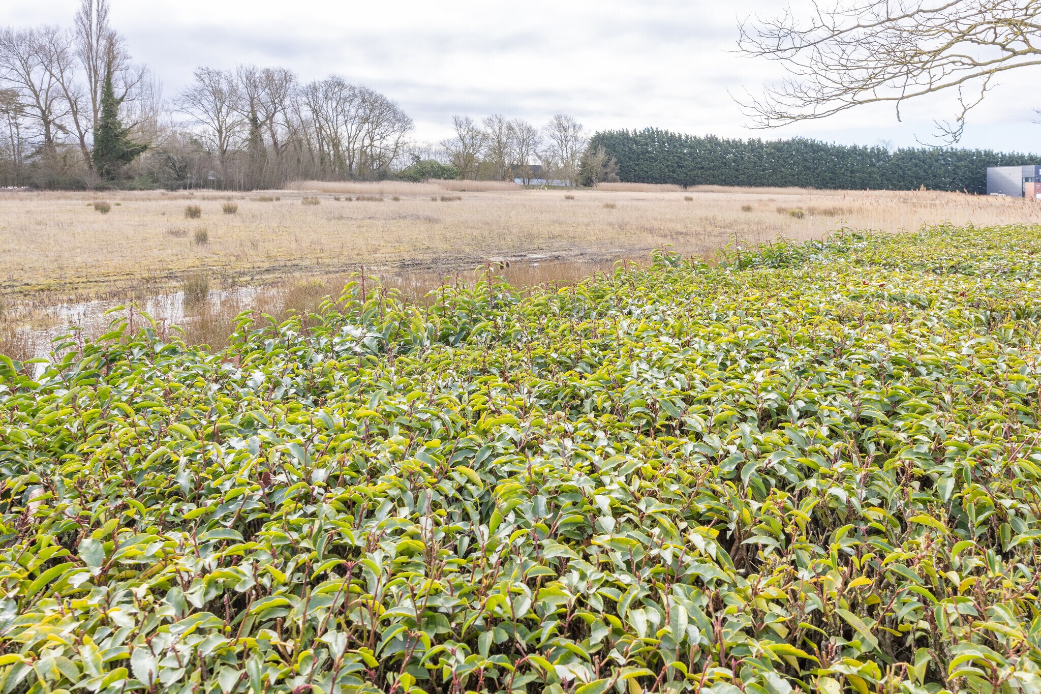Beach Dr, Waterbeach for sale Primary Photo- Image 1 of 1