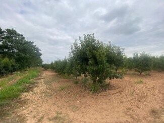 More details for Mataburres, Carlet, Alrededores, Carlet - Land for Sale