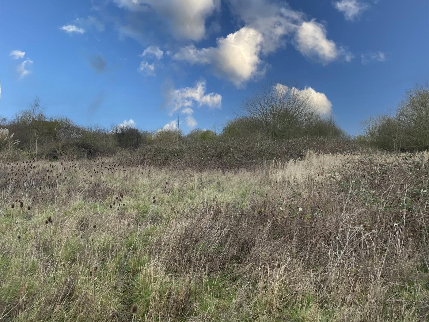 35 Monarchs Rd, Sutterton for sale Other- Image 1 of 2