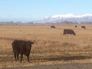 1625 W Reservation Rd, Lovelock, NV for sale Other- Image 1 of 1