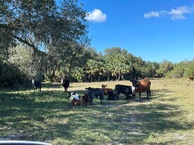 Roberts Ranch Road, Clewiston FL - Commercial Property