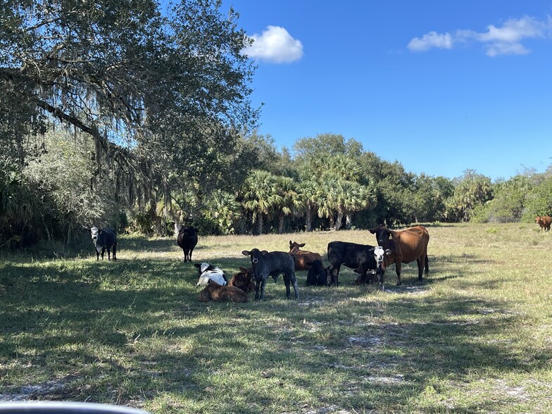 Roberts Ranch Road, Clewiston, FL for sale - Other - Image 1 of 40