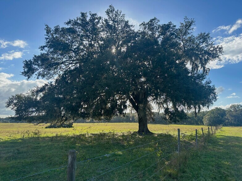 1010 215th Ave, Morriston, FL for sale - Building Photo - Image 3 of 5