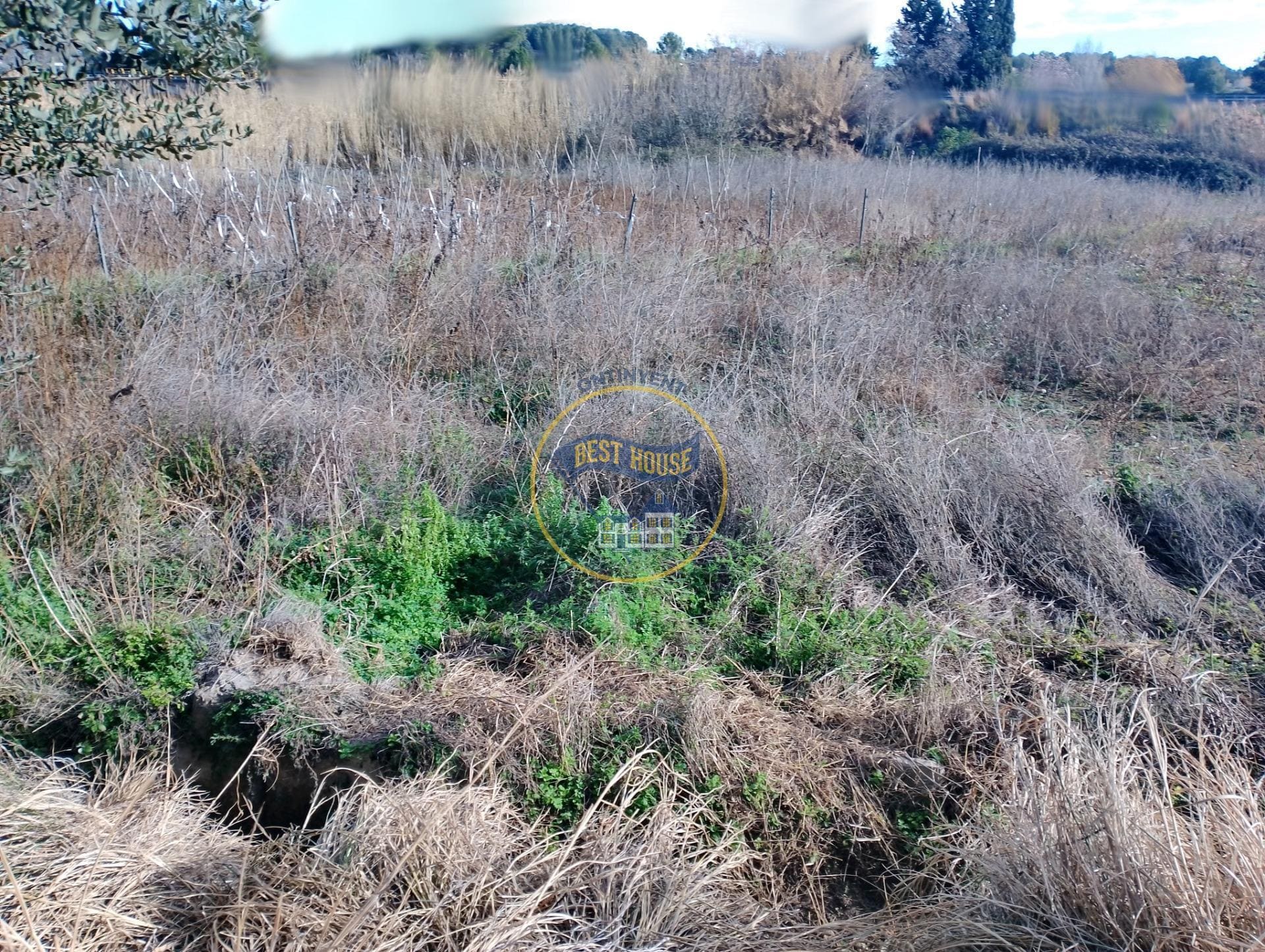 Land in Ontinyent, Valencia for sale Primary Photo- Image 1 of 8