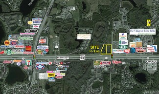 More details for 54 Sr, Land O Lakes, FL - Land for Rent