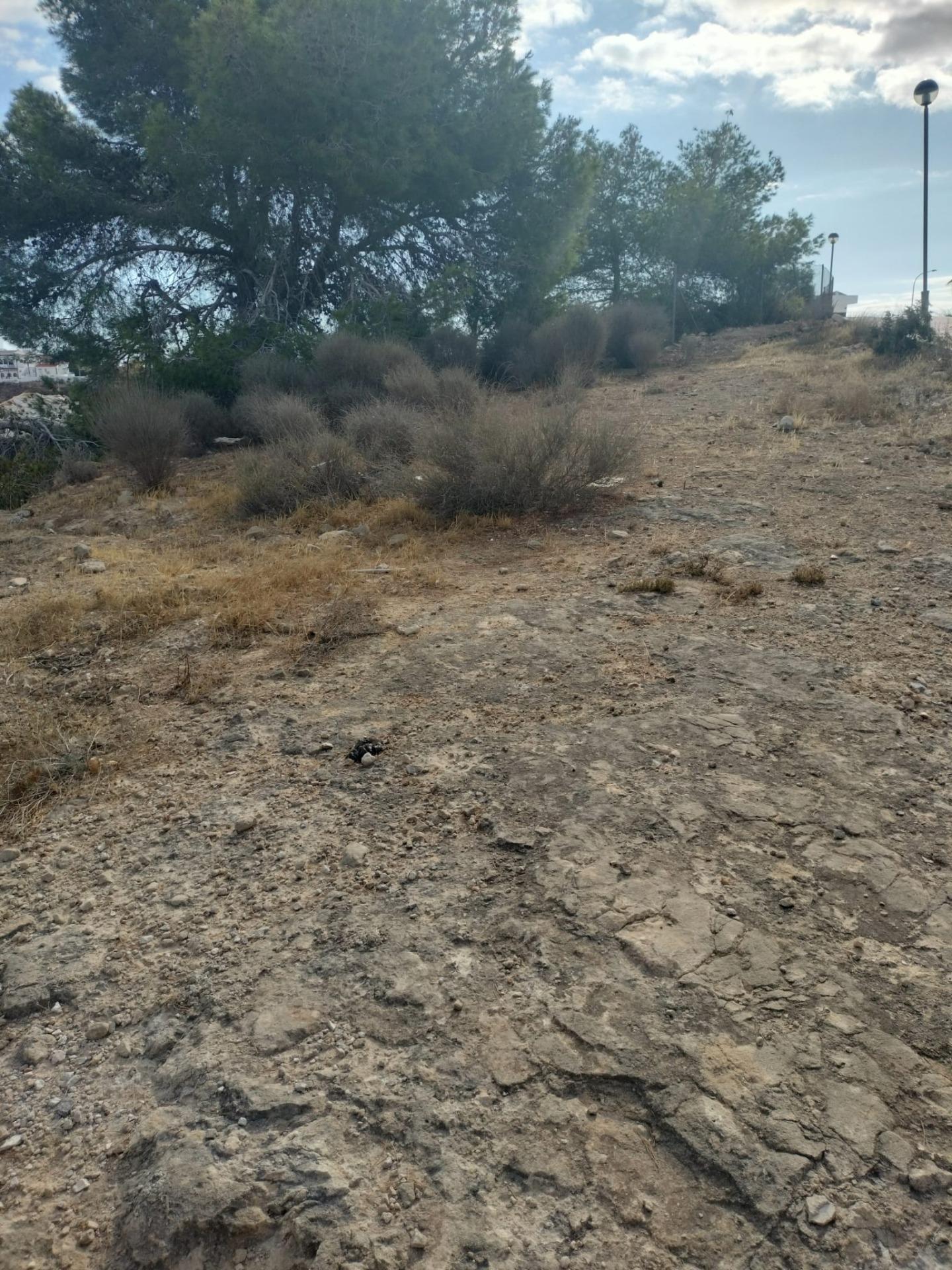 Land in Rojales, Alicante for sale Primary Photo- Image 1 of 7