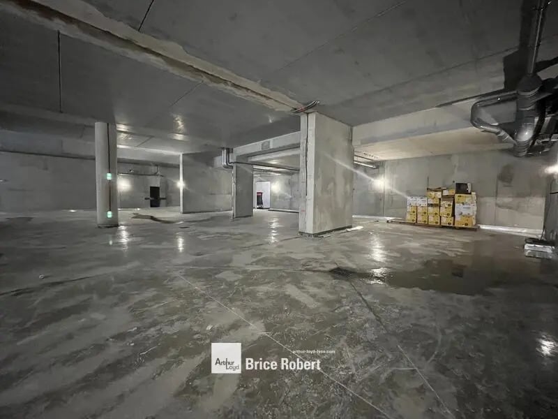 Light Industrial in Villeurbanne for sale Interior Photo- Image 1 of 10