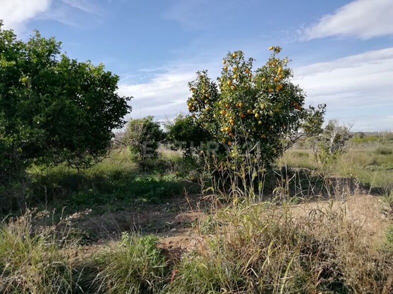 Paraje Huerto Naranjos, S/N, Murcia, Murcia for sale - Primary Photo - Image 1 of 6