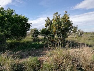 More details for Paraje Huerto Naranjos, S/N, Murcia - Land for Sale