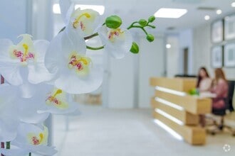 Paseo Castellana, 91, Madrid, Madrid to rent Interior Photo- Image 2 of 12