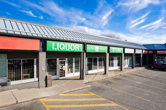 More details for 8060 Silver Springs Blvd NW, Calgary, AB - Retail for Rent