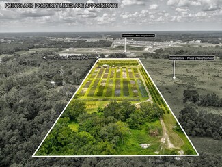 More details for 2816 Crystal Springs Rd, Zephyrhills, FL - Speciality for Sale