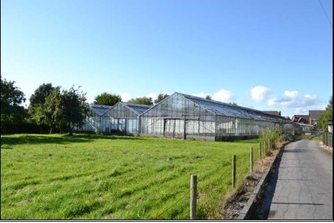 66 Chapel Rd, Hesketh Bank for sale Primary Photo- Image 1 of 1