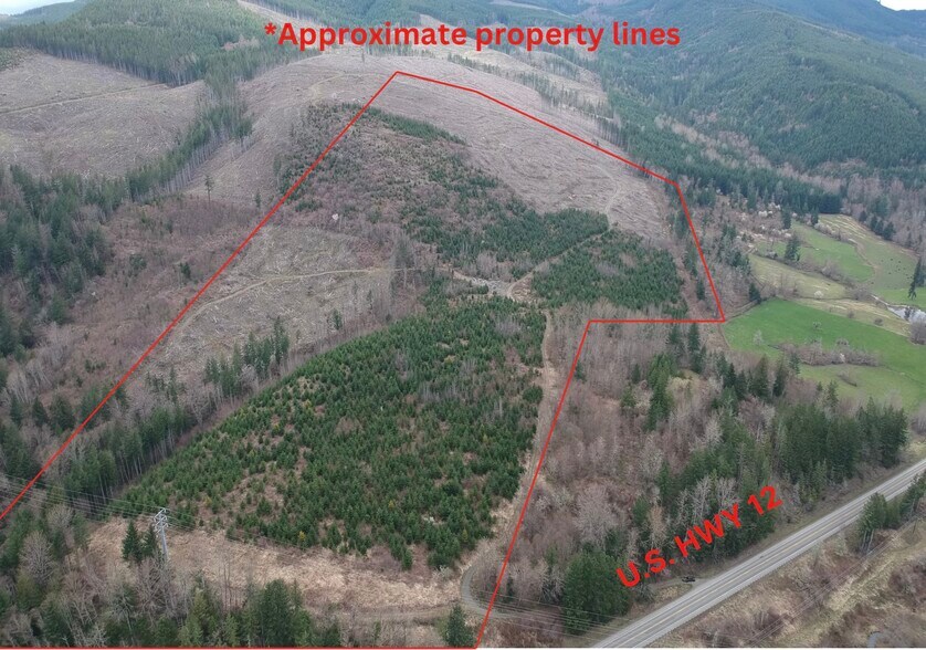 7505 US12, Morton, WA 98356 Land for Sale UK
