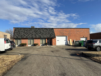 More details for 1440 Louis Ave, Elk Grove Village, IL - Industrial for Sale