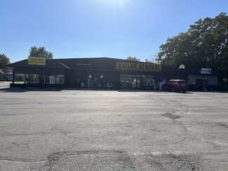 More details for 110 S Chapman St, Chesaning, MI - Light Industrial for Rent