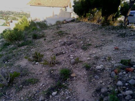 Land in Alguazas, Murcia for sale - Site Plan - Image 3 of 9