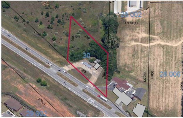 S Highway 231 & Mance Newton Rd, Midland City, AL for sale - Primary Photo - Image 1 of 1